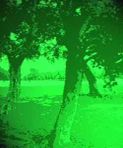 In New Orleans City Park Golf course Ghost seem to be playing parr.  True Haunted Tales of a  famous New Orleans Haunted Golf course.